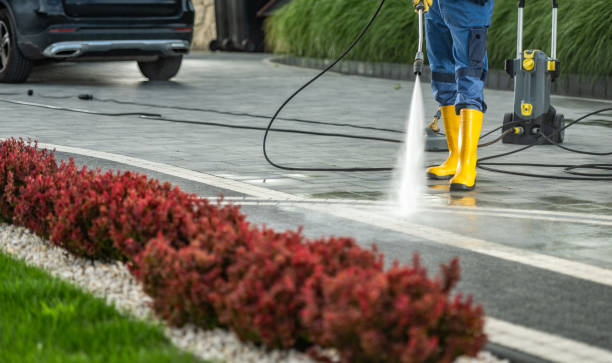 Best House Pressure Washing  in Robinson, IL